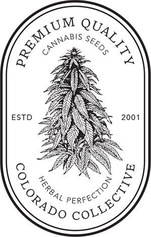 brand partner Colorado collective cannabis seeds