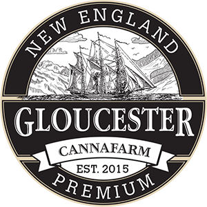 brand partner gloucester canna farm from new england, premium marijuana