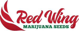 brand partner red wing marijuana seeds