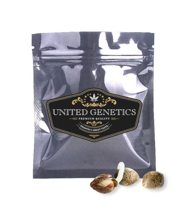 united genetics marijuana seeds