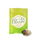 Panama Red Bloom-Botanicals