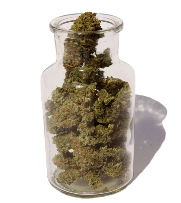Panama Red strain