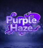 Purple Haze Cover