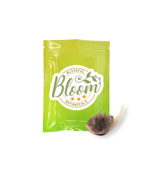 bloom botanicals and albino kush