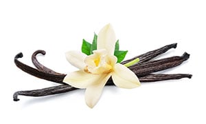vanilla flavor marijuana