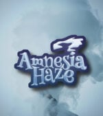 Amnesia Haze Cover