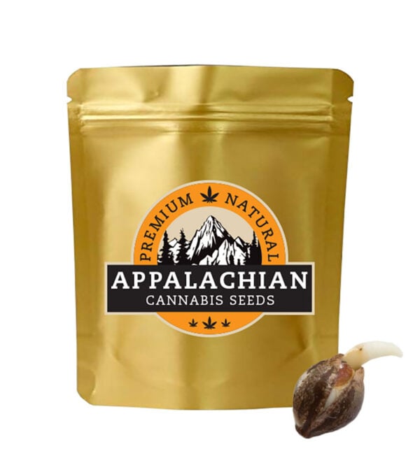 Tangie Cannabis Appalachian-Cannabis