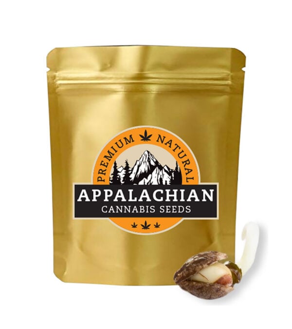 White-Widow-ACS Appalachian-Cannabis