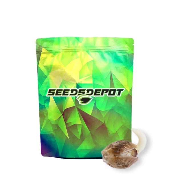 HulkBerry Seeds-Depot