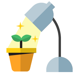 Indoor Seeds