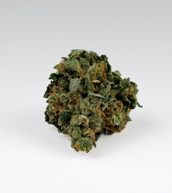 Apple-Fritter-Feminized-buds Apple-Fritter Strain