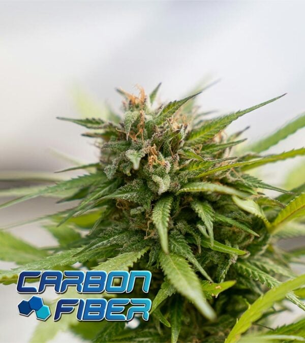 Carbon-Fiber cannabis