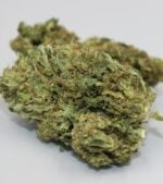 Cookies-Gelato-Feminized-buds