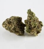 Durban-Poison-Feminized-buds