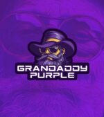 Grandaddy-Purple-Feminized-logo