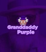 Granddaddy-Purple-Feminized-logo