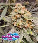 Harle-Tsu-CBD-Product