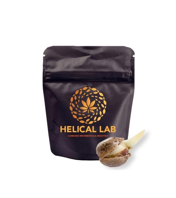 Gary-Payton Helical Lab