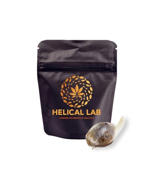 Starburst Helical Lab