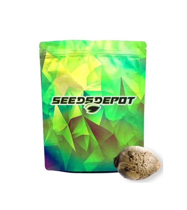 Durban-Poison Seeds Depot