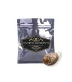 United-Genetics-Godfather-OG