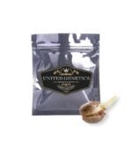 United-Genetics-Granddaddy-Purple