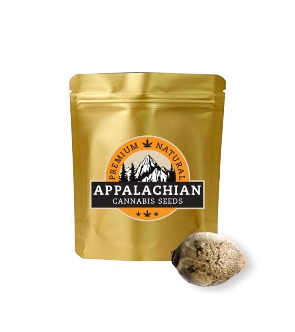 Papaya-Punch Appalachian-Cannabis-Seeds