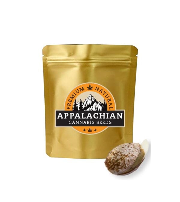 Rainbow-Haze Appalachian-Cannabis