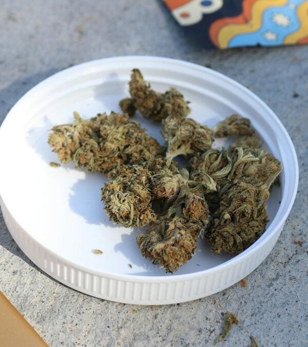 Apple-Betty Strain