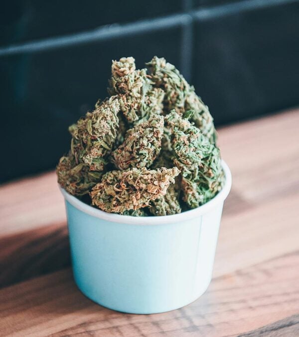 Bubblegum Strain