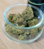 Cheese-Cookies-Feminized-buds