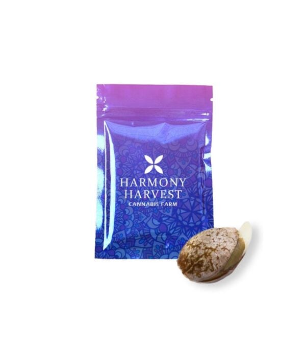 Cheese-Cookies Harmony-Harvest-Cannabis-Farm