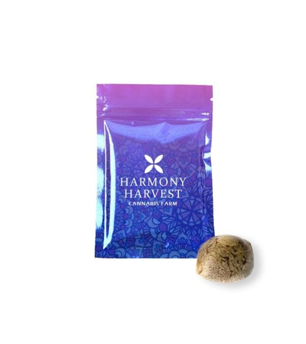 Snow-Caps Harmony-Harvest-Cannabis-Farm
