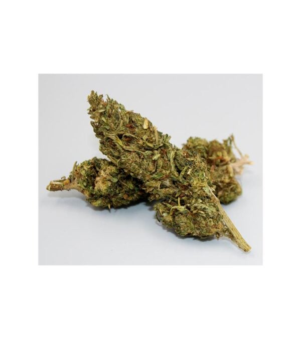 Papaya-Punch Strain