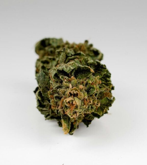 Snow-Caps Strain