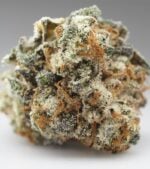 Super-Sour-Runtz-Feminized-buds