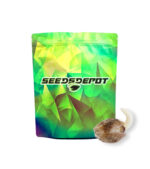 seeds-depot-packaging-bubble-gum-cannabis