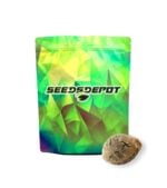 Seeds-Depot-Candy-Runtz