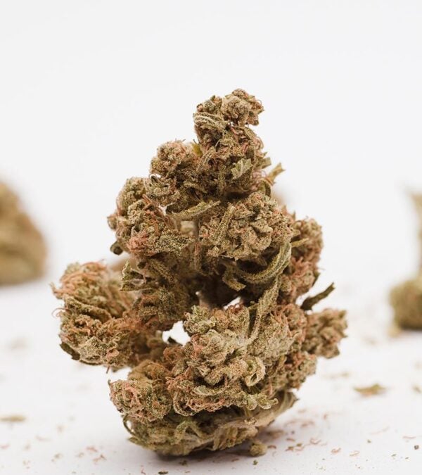 Acapulco-Gold Strain