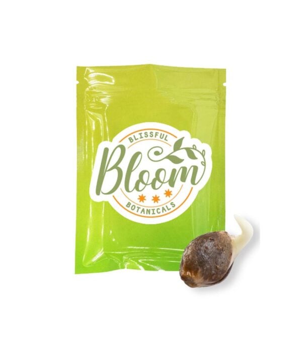 Banana-Jealousy Bloom-Botanicals