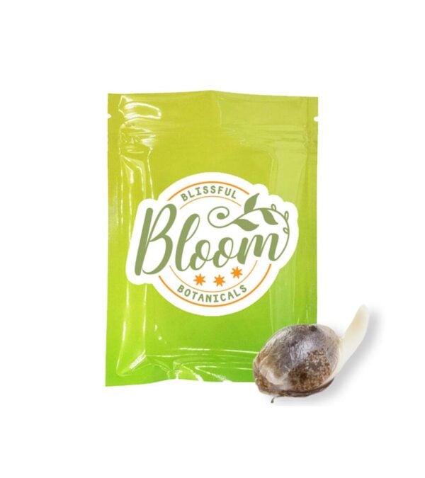 Candy-Pop Bloom-Botanicals