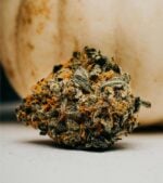 Death-Star-Feminized-buds