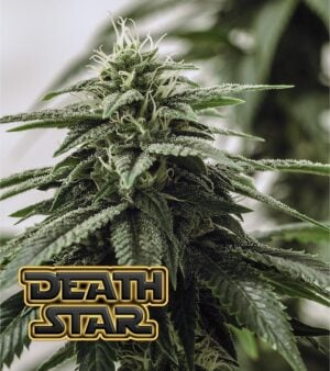 Death-Star-Product
