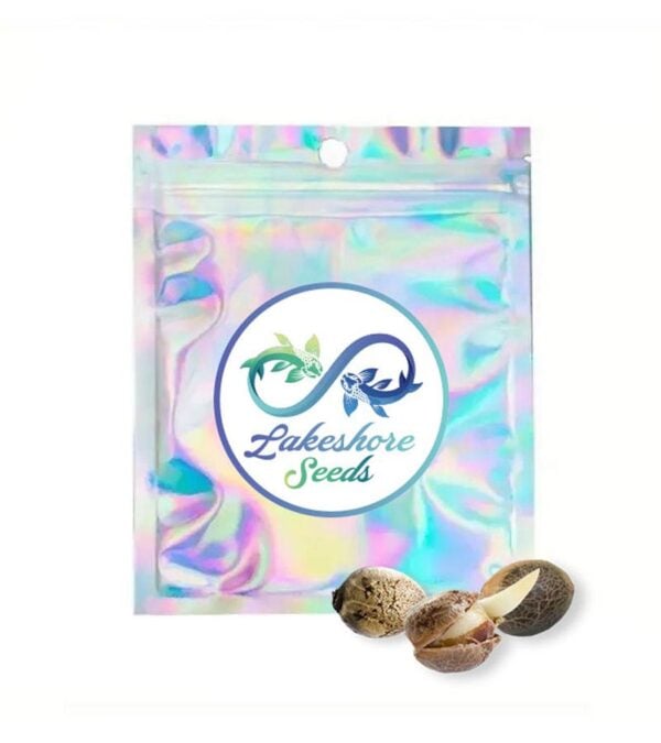 Acapulco-Gold Lakeshore