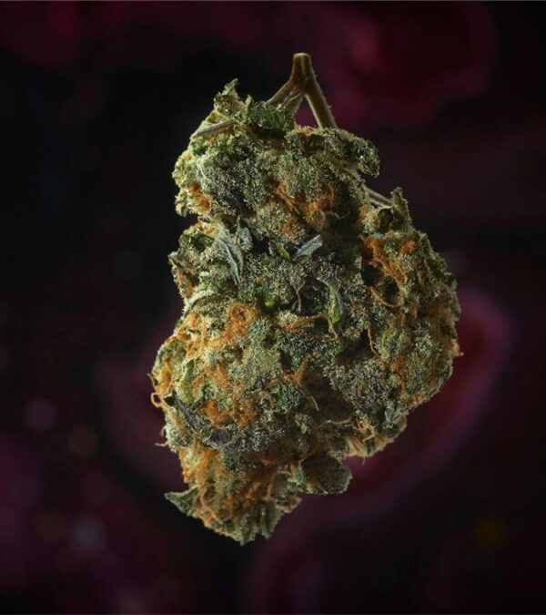 Scottie-Pippen-#33 Strain