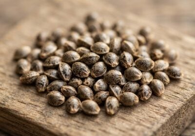 A small pile of cannabis seeds on a wooden surface.